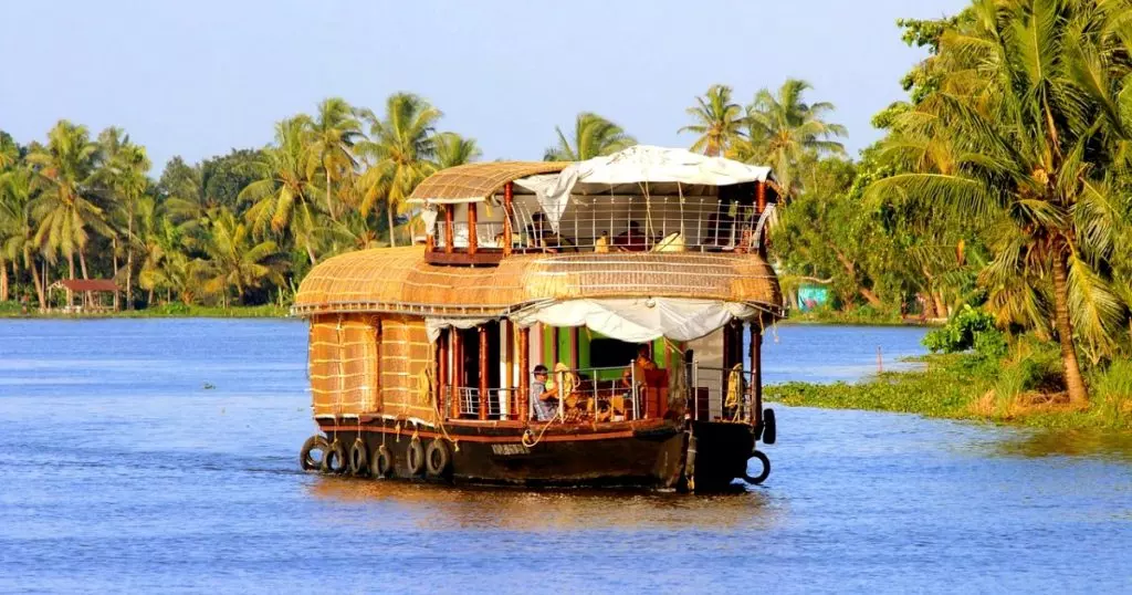 Dindi image